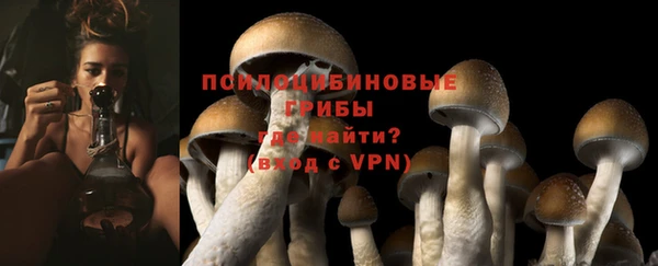 дурь Майский